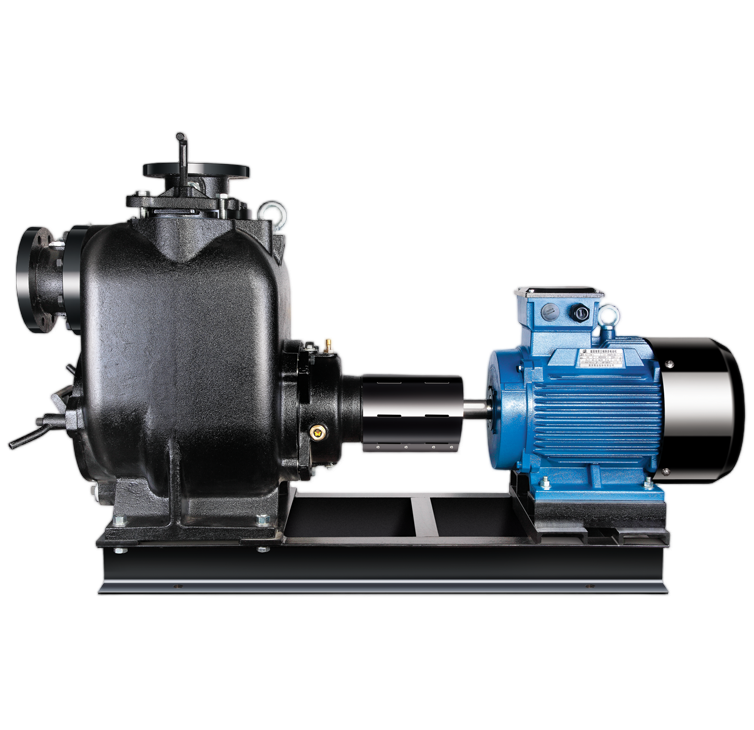 SP無堵塞自吸式排污泵